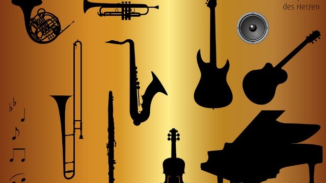 What type of instrument can be played "pizzicato"?
